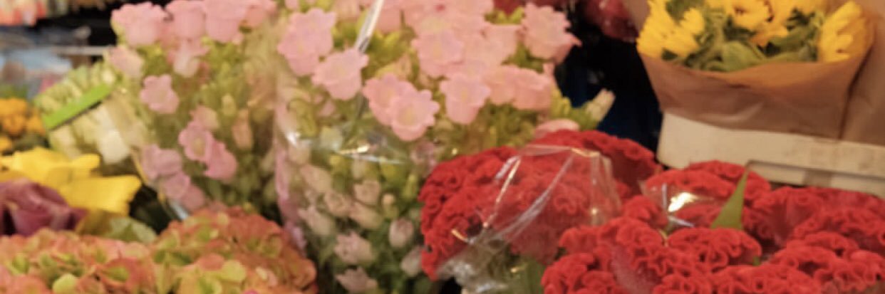 ˚ ༘ broccoli🥦𖦹⋆｡˚ banner