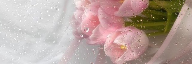 arom_Nana's profile banner image