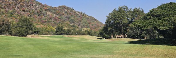 maxwellA339 Profile Banner