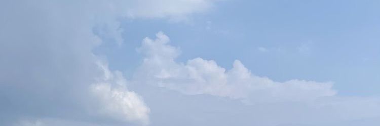 nilofarabi63's profile banner image