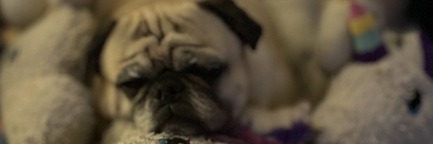 Heather- almost Heathen, so let’s pretend. banner