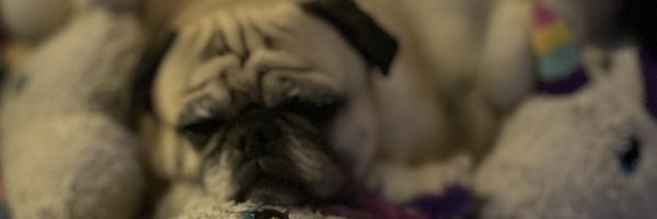 HeatherD13 Profile Banner