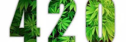 midorida420's profile banner image