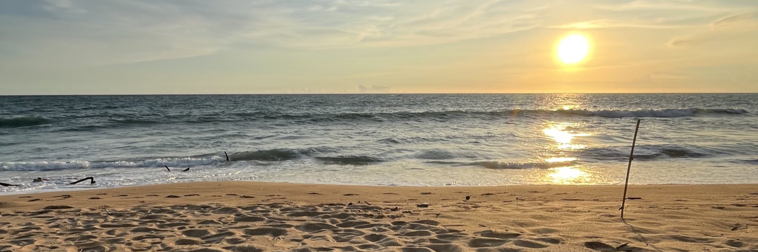 MNantapoom2542's profile banner image