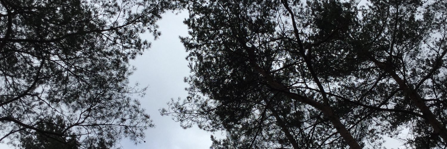 pannellee's profile banner image