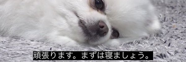 daten_o_x Profile Banner