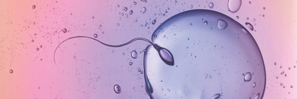 memphasys Profile Banner