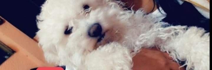 Yaneeth_'s profile banner image
