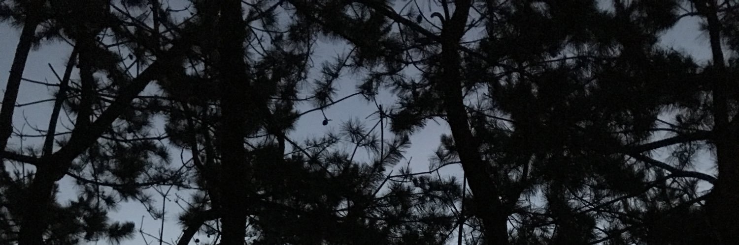 artrivejjj's profile banner image