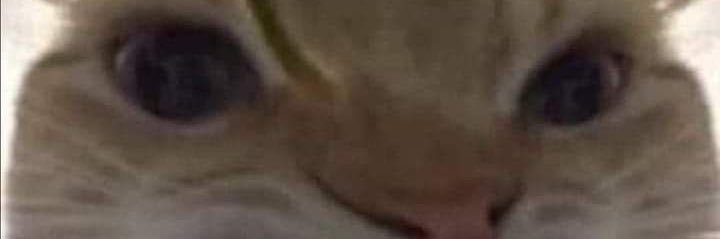 meowjaox's profile banner image