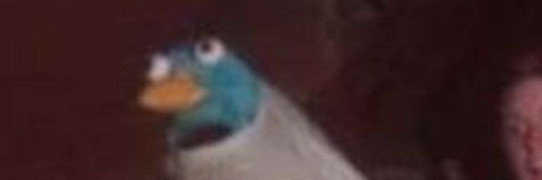 Sleepy Fc😴 (Commissions Closed) banner