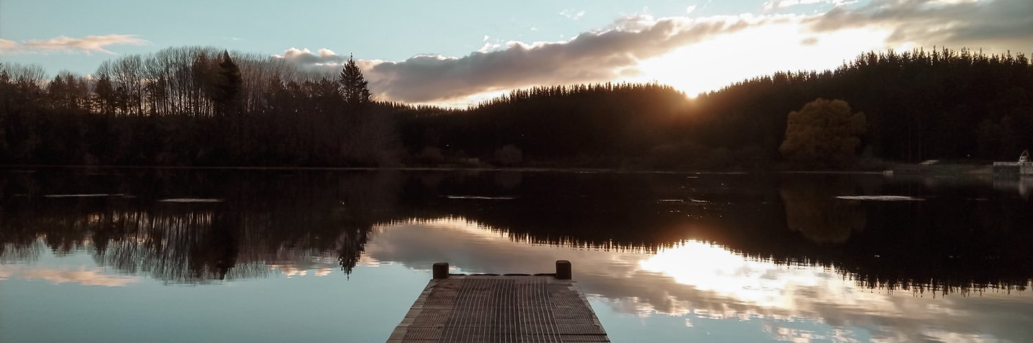 polymathprofits (REBORN) banner