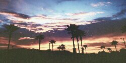 trxstin's profile banner image