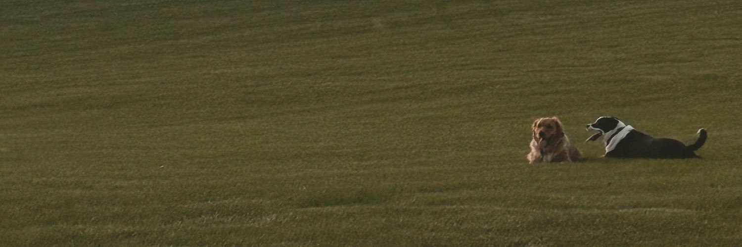 klaylynnbk's profile banner image