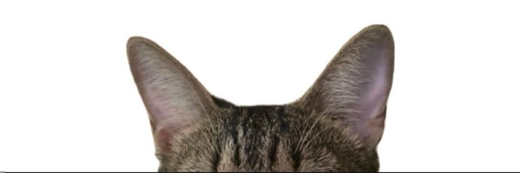 oke_o0's profile banner image