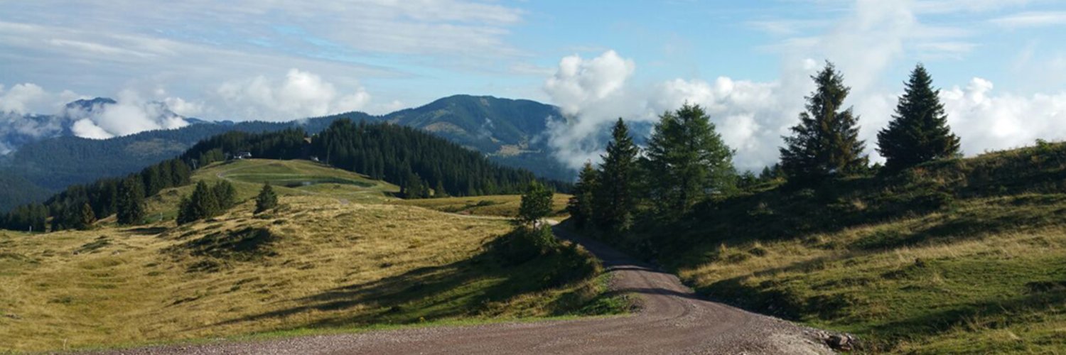 Waldkater🌲🌲 banner
