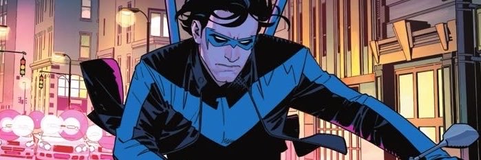 nightwingzs's profile banner image