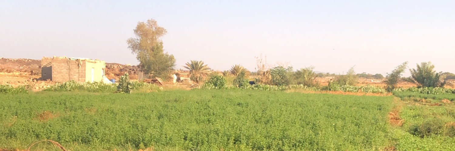 عبدالرحمن الحربي banner