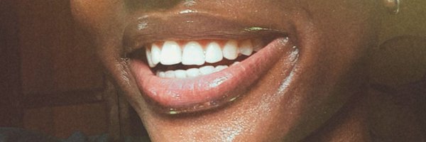 temmie_lizza Profile Banner