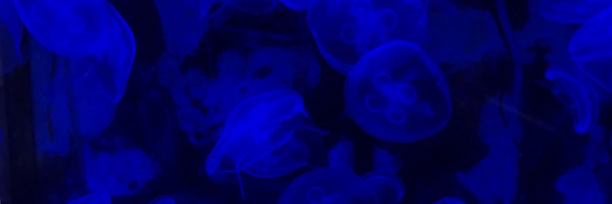 t0ot78's profile banner image