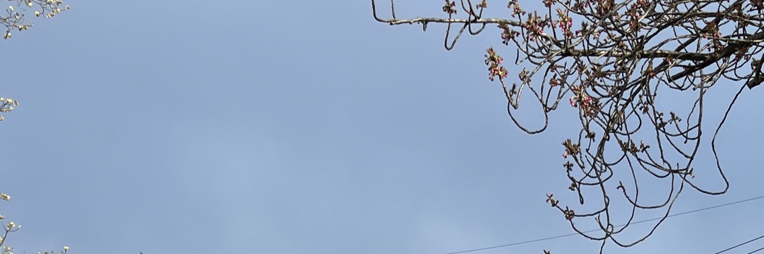m banner