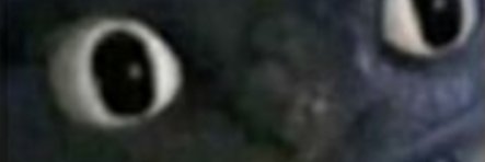 Ruri 🧟🐙☔ banner