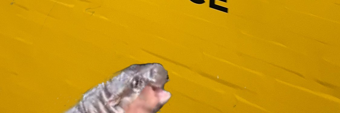 crypto snow queen banner