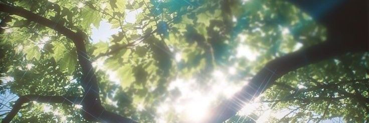 REVAHANDAY17415's profile banner image