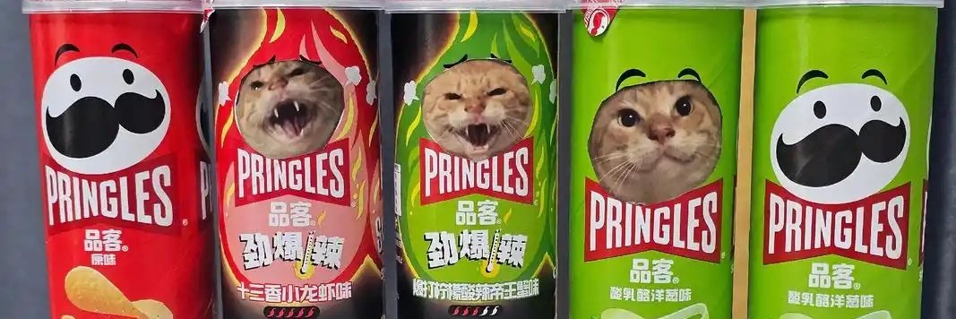 撸毛的少妇🔶BNB（哈基米版） 的个人资料封面