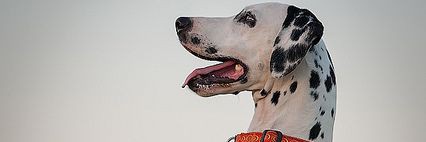 bobobkk1998's profile banner image