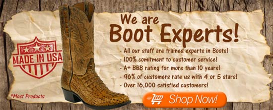 Timsboots's profile banner image