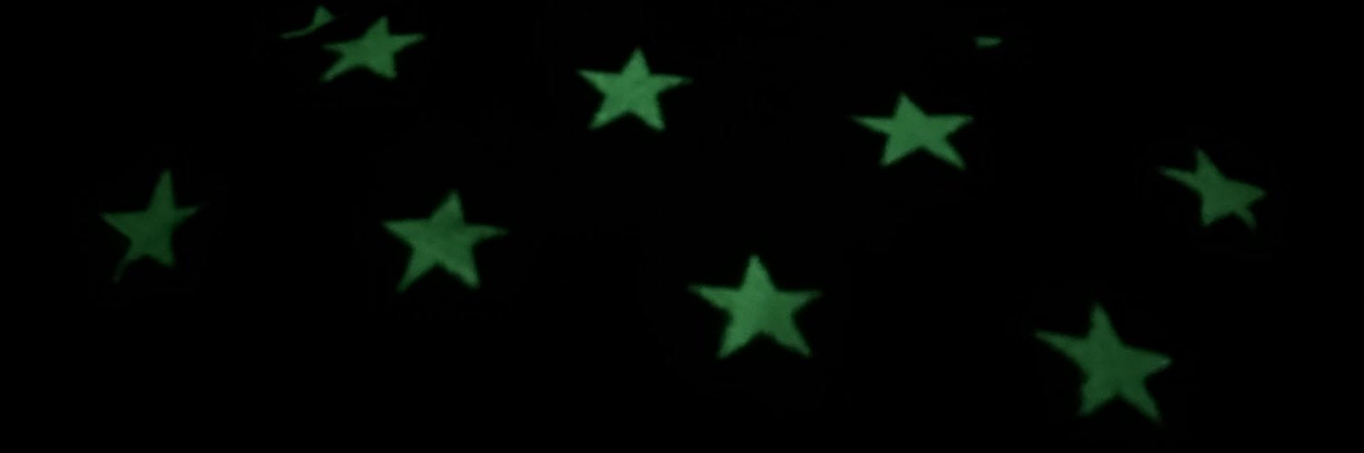 trump dos santos banner