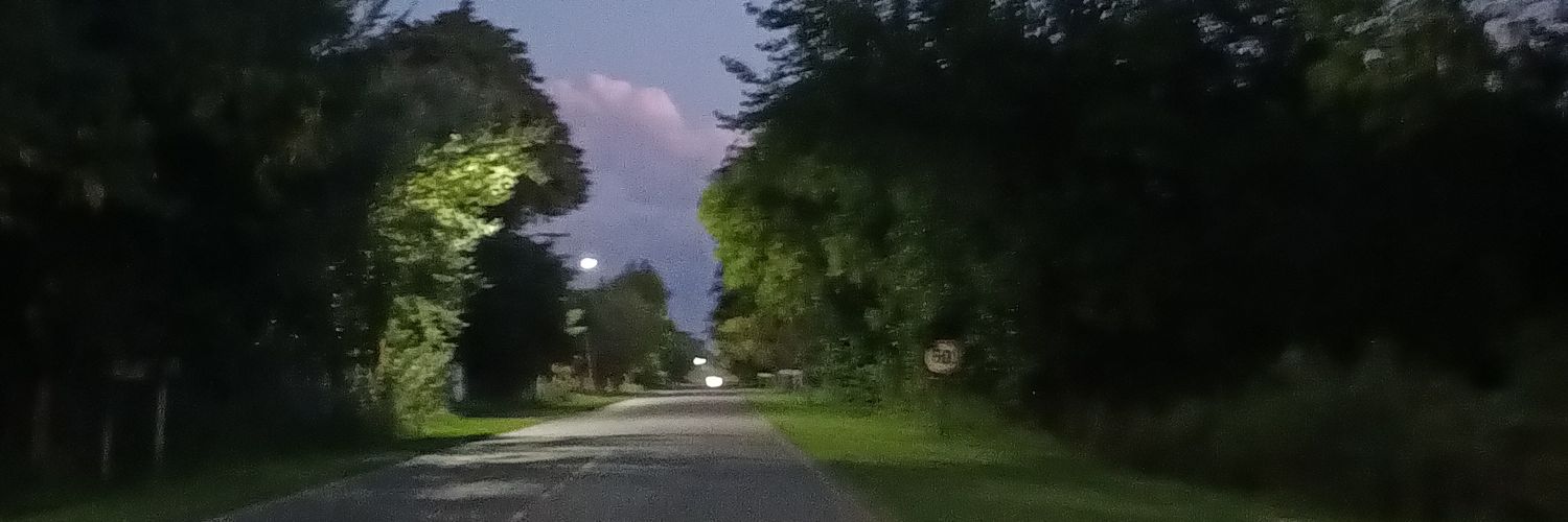 Liz Gonzalez🔴 banner