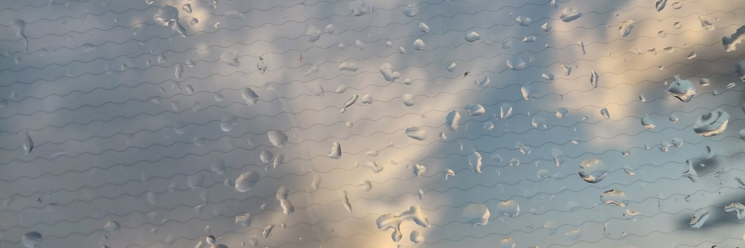 Bisenk709's profile banner image