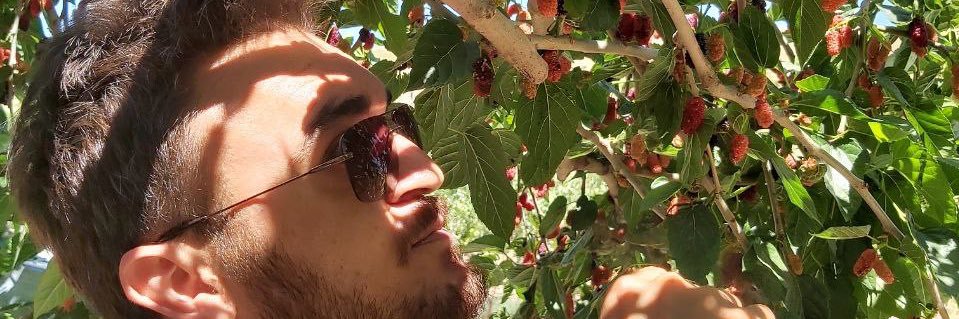 RayWin06's profile banner image