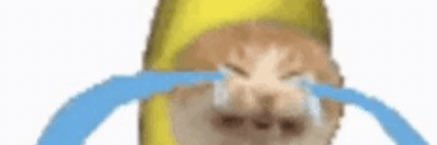 weihao2002's profile banner image