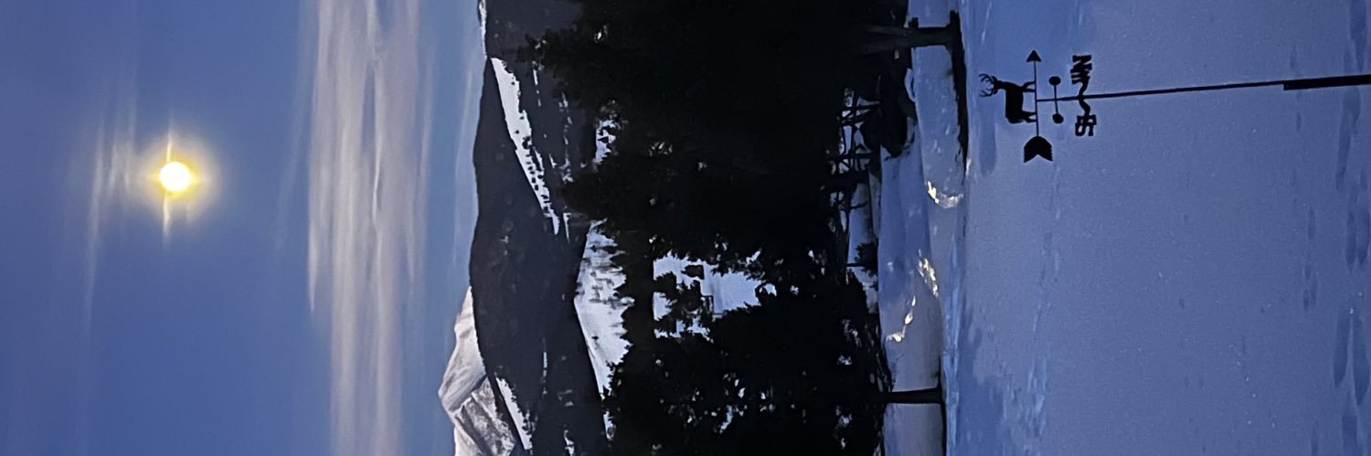 UT banner