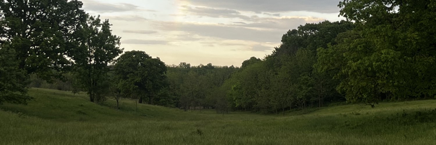 lijaeg's profile banner image