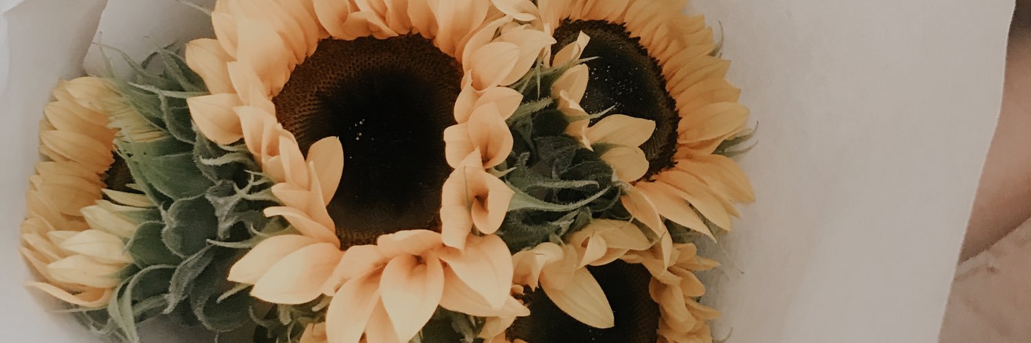 Itskarina27's profile banner image