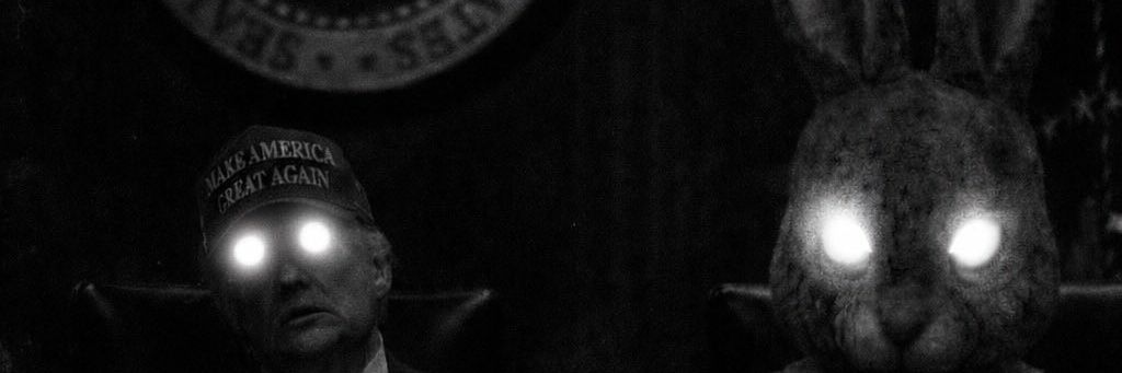 Lucy Fell 📚🎬🚀 banner