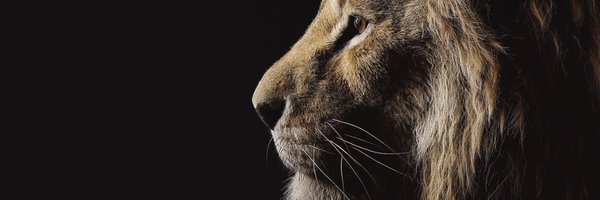 WavyJayd Profile Banner