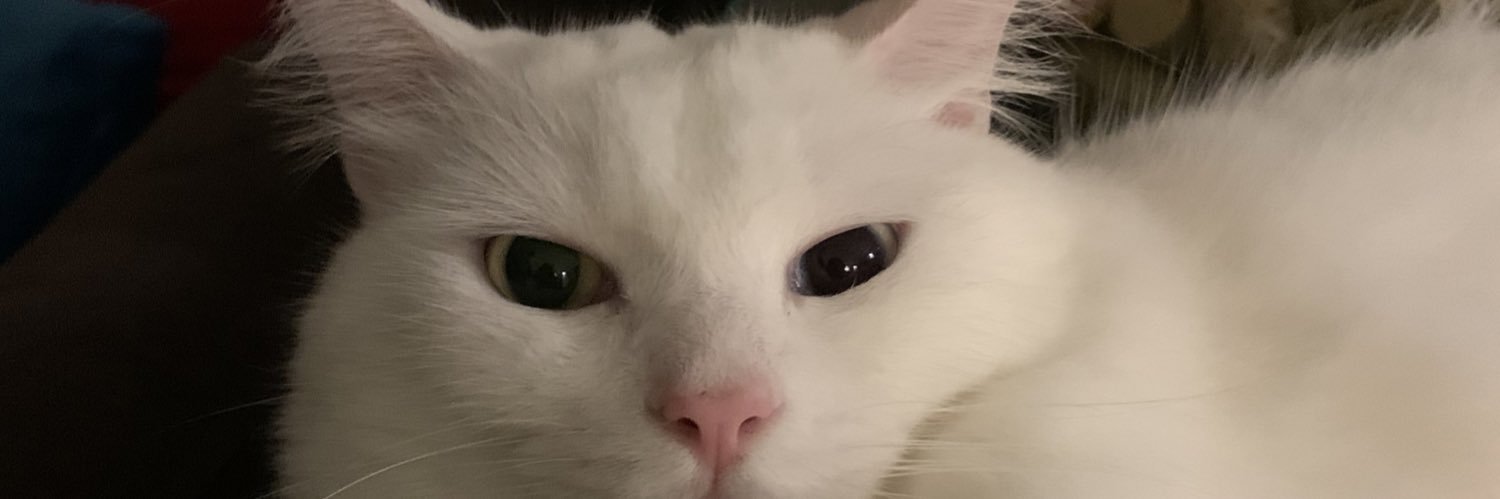mrnbrrs's profile banner image