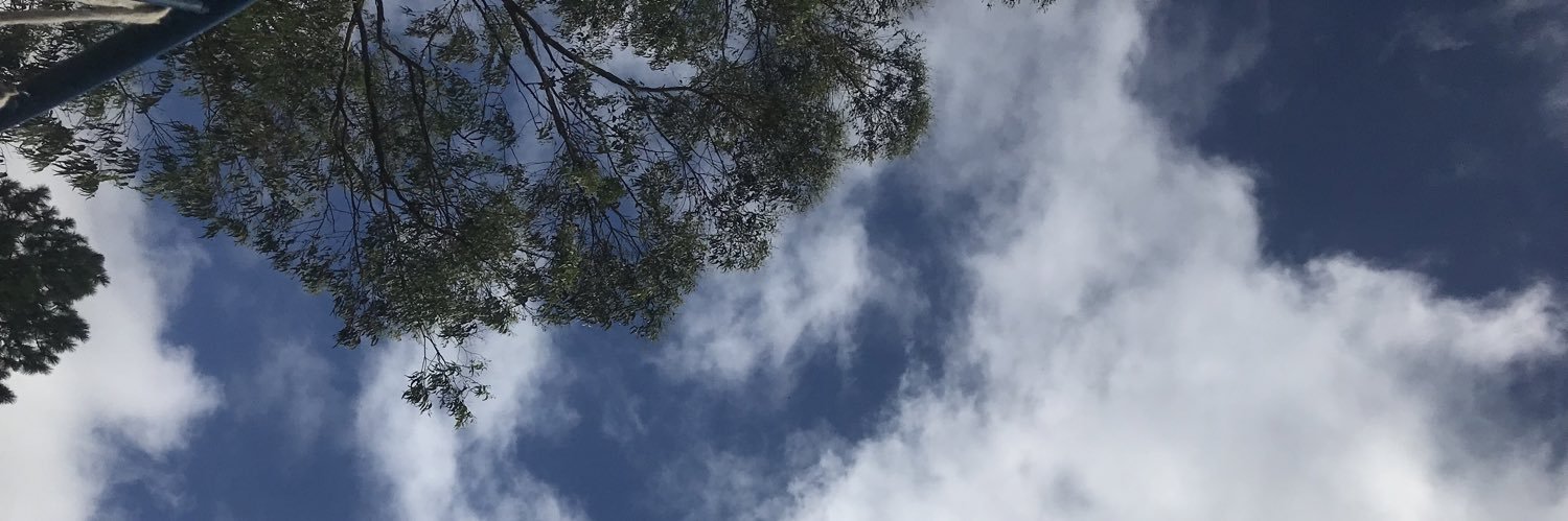 marianlps's profile banner image