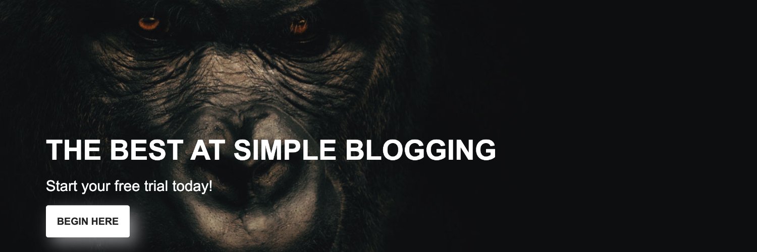 SilvrbackBlog's profile banner image