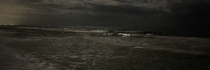 Jent banner