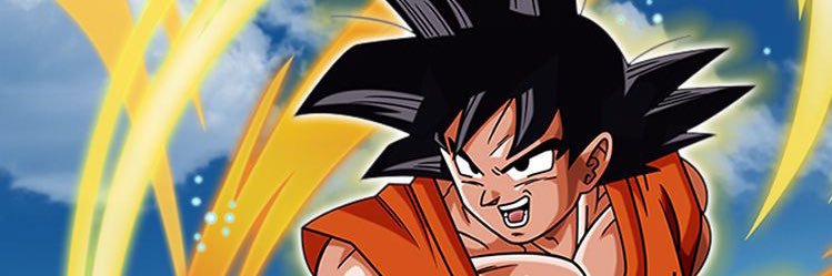 Princess Sunny banner