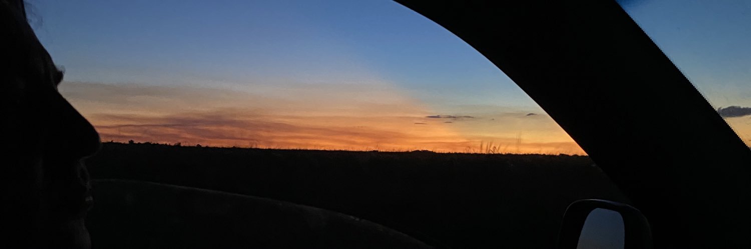 meliidinice's profile banner image