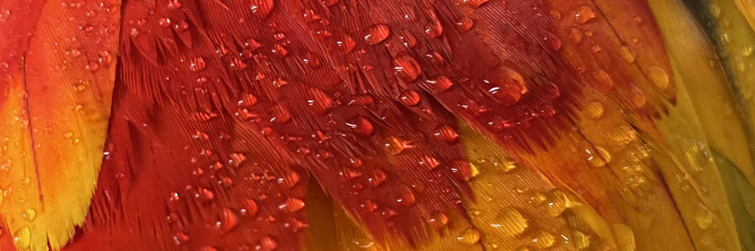 JennaHayy's profile banner image