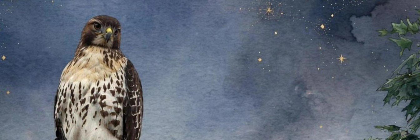 MMclaughli40509's profile banner image