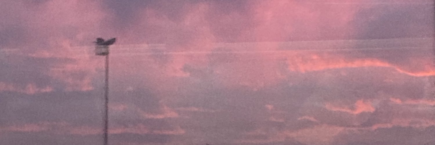 fernandadeaqui3's profile banner image
